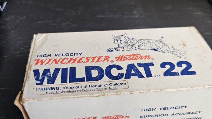Winchester Wildcat .22 LR 40-Grain Rimfire Ammunition - 500 Rounds