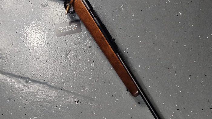 Remington 581-S .22LR