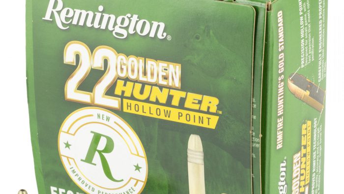 Remington Golden Hunter 22LR - 500rds