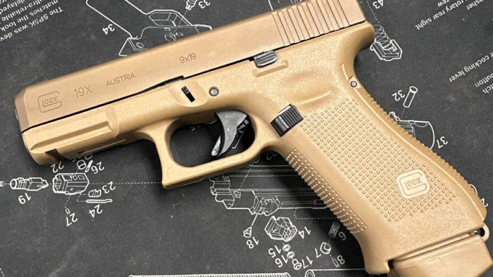 Glock 19x