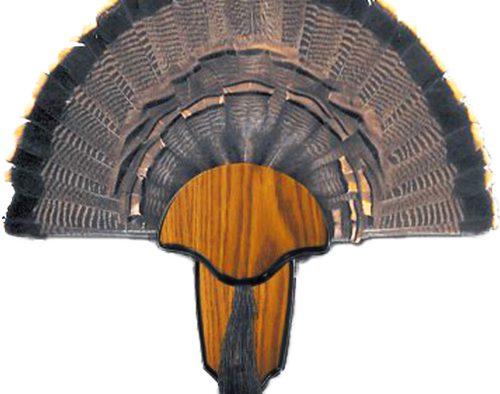 HS STRUT MOUNTING KIT TURKEY - TAIL & BEARD