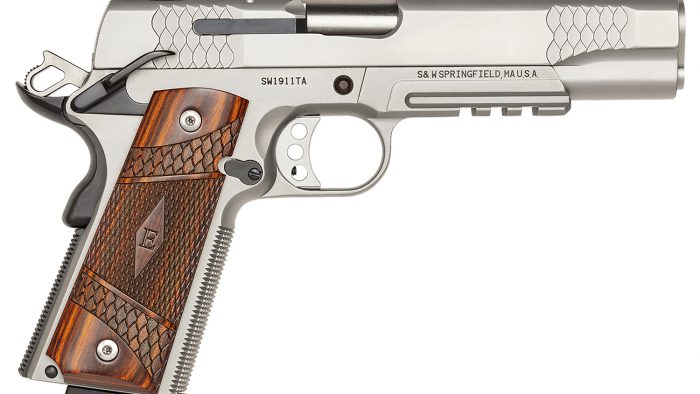 SMITH AND WESSON SW1911TA 45A 5" SS/WD NS E-SER