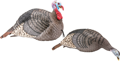 HS STRUT TURKEY DECOY COMBO - HEN/JAKE STRUT-LITE