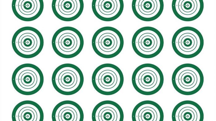 EZ-Aim 15582 Official IBS  Rimfire Target  Non-Adhesive White/Green 25 Pack