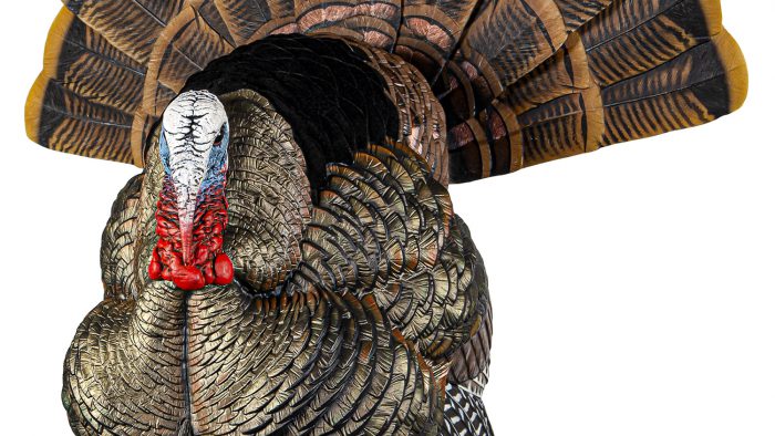 Avian X AVXAVX8108 HDR Strutter Turkey Species Multi Color