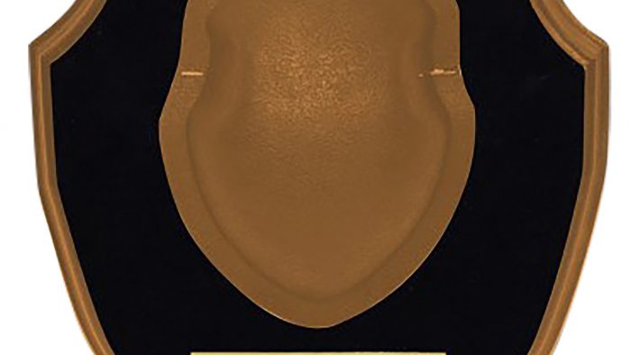 Hunters Specialties 01639 Deer Antler Mounting Plaque Includes Mounting Hardware