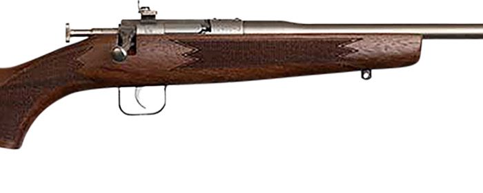 Chipmunk 10002 Deluxe The Original Youth Deluxe Single Shot 16.10" Satin Tapered Barrel, Satin Stainless Steel Receiver, Fixed American Walnut Stock, EZ Loader