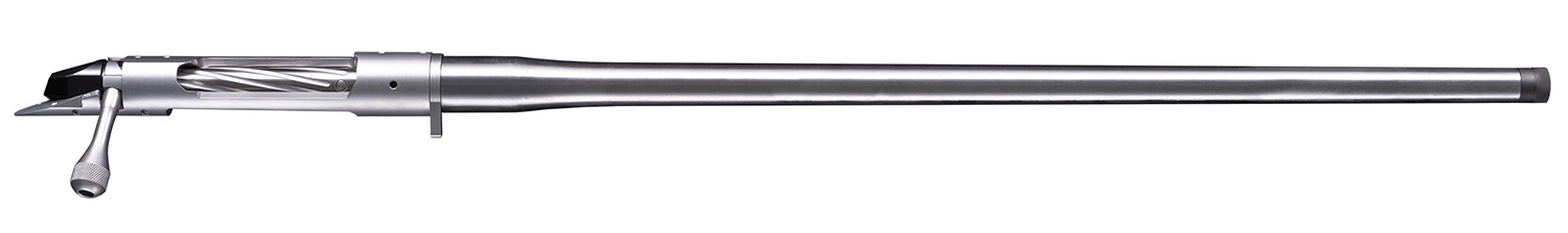 175186.jpg