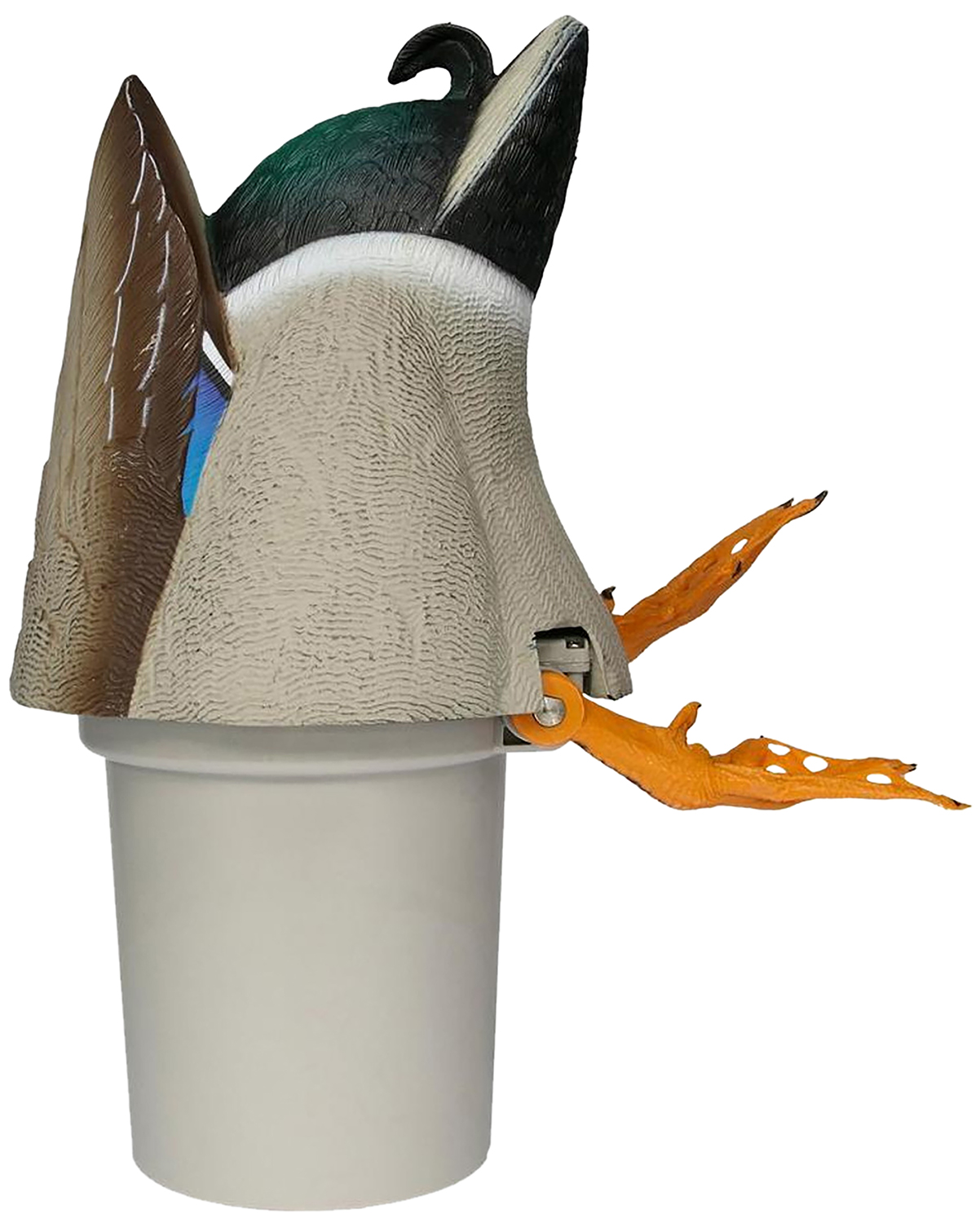 180034.jpg