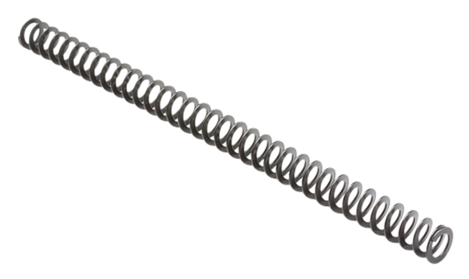 2515.jpg