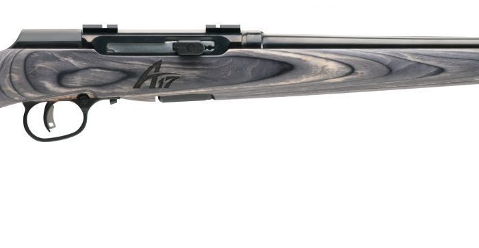 SAVAGE ARMS A17 SPORTER 17WSM BL/LAM 22"