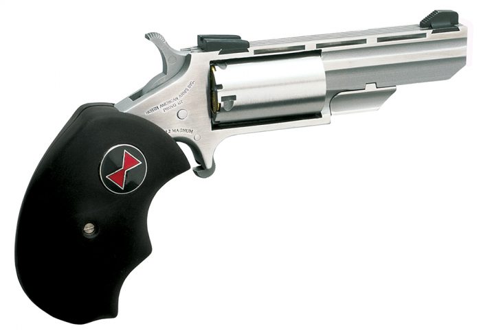 North American Arms BWL Black Widow  Compact Frame 22 LR 5 Shot 2" Stainless Steel Vent Rib Barrel, Stainless Steel Frame, Stainless Cylinder, Black Finger Grooved Rubber Grip, Exposed Hammer