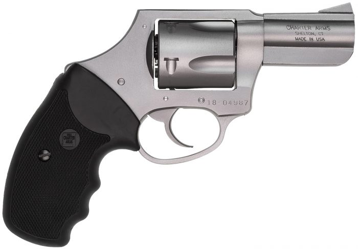 CHARTER ARMS CHARTER BULLDOG 44SPC SS DAO