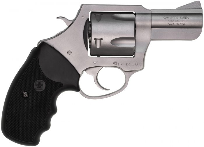 CHARTER ARMS CHARTER PITBULL 45ACP SS 2.5"