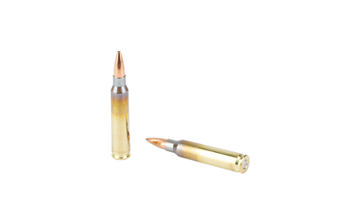 BB65-23020_4.jpg