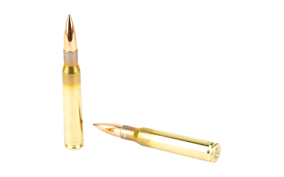 BB65-66010_4.jpg