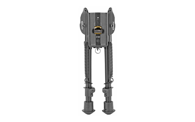 CAL403215_3.jpg