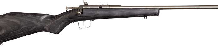 CHIPMUNK RIFLE 22LR - STAINLESS/BLACK LAMINATE