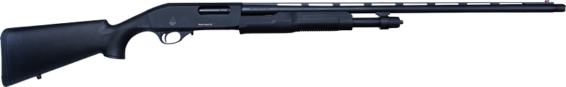 G312001_1.jpg