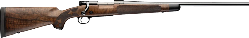G535248299_1.jpg