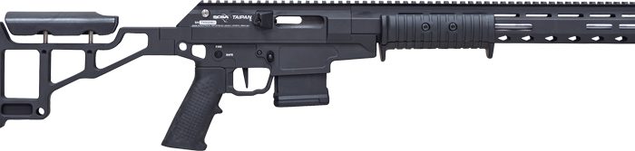 CITADEL TAIPAN 300BLK PUMP - 16.5" STEEL BBL THREADED 10RD