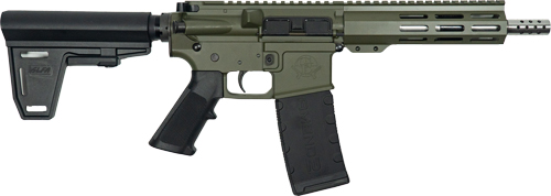 GL15223SSPBODG.jpg