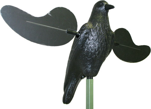 HW2402.jpg