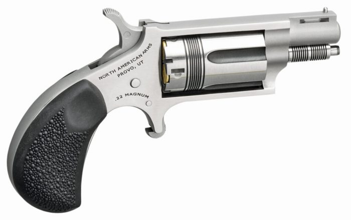 NORTH AMERICAN ARMS THE WASP 22MAG REV 1-1/8" SS