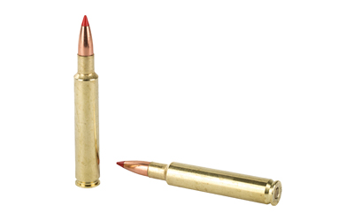 NOS43504_4.jpg