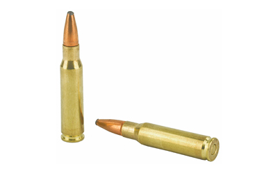 REM27842_4.jpg
