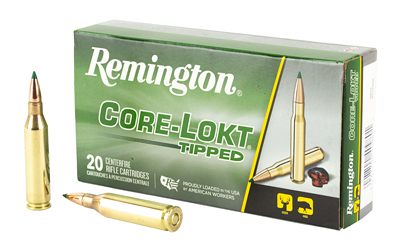 REM29015_1.jpg