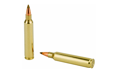 REM29220_4.jpg