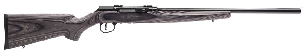 SV47006.jpg