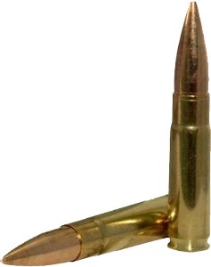 a51244_shells_1.jpg