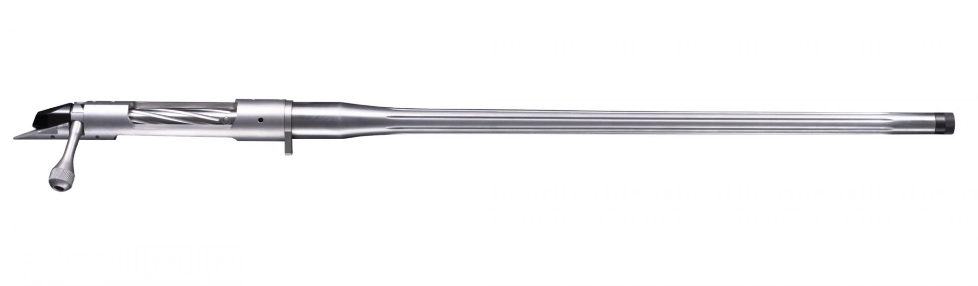bgno46c4d-3.jpg