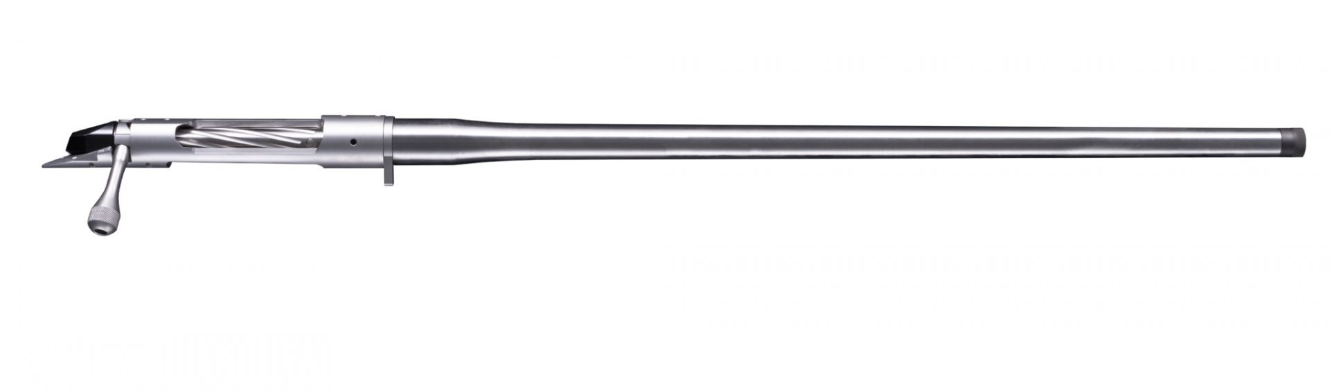 bgno555100-4.jpg