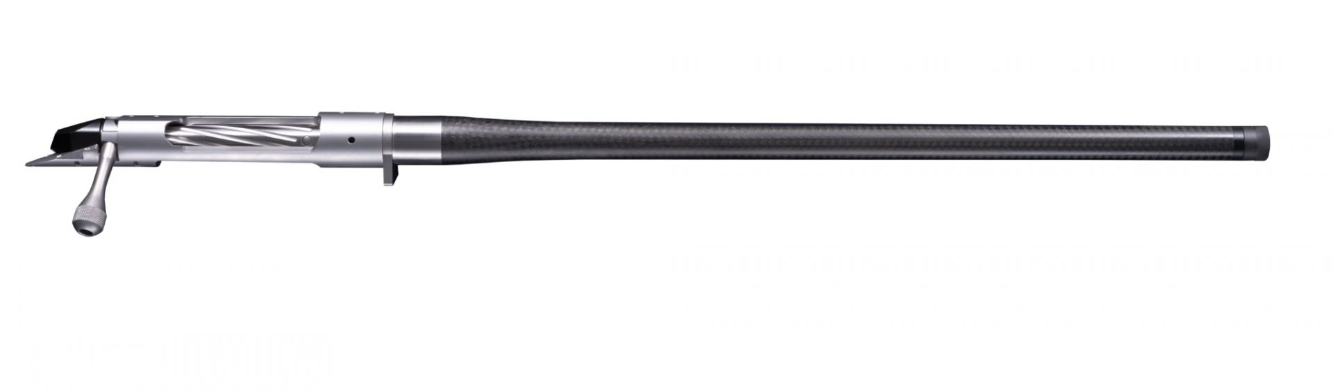 bgno6028f-5.jpg