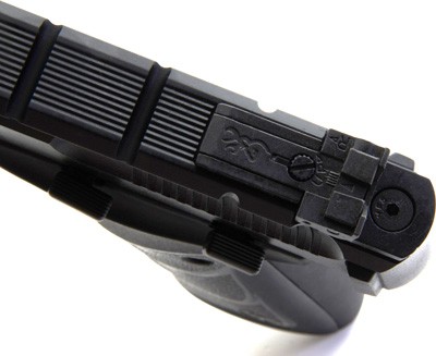 g051421490_rear-sight.jpg