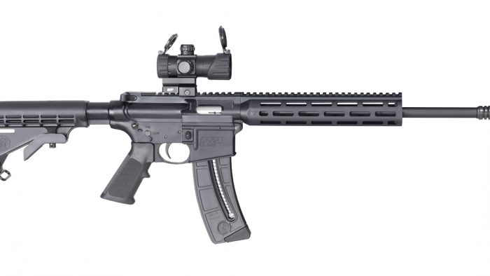 SMITH AND WESSON M&P15-22 SPORT OR 22LR 25+1